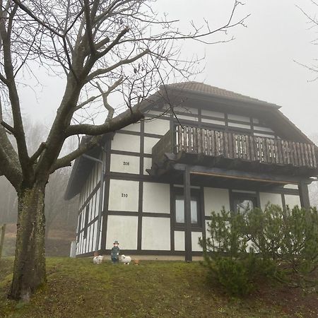 Ferienwohnung Lix Direkt Am Waldrand Frankenau Exteriér fotografie