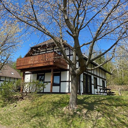 Ferienwohnung Lix Direkt Am Waldrand Frankenau Exteriér fotografie