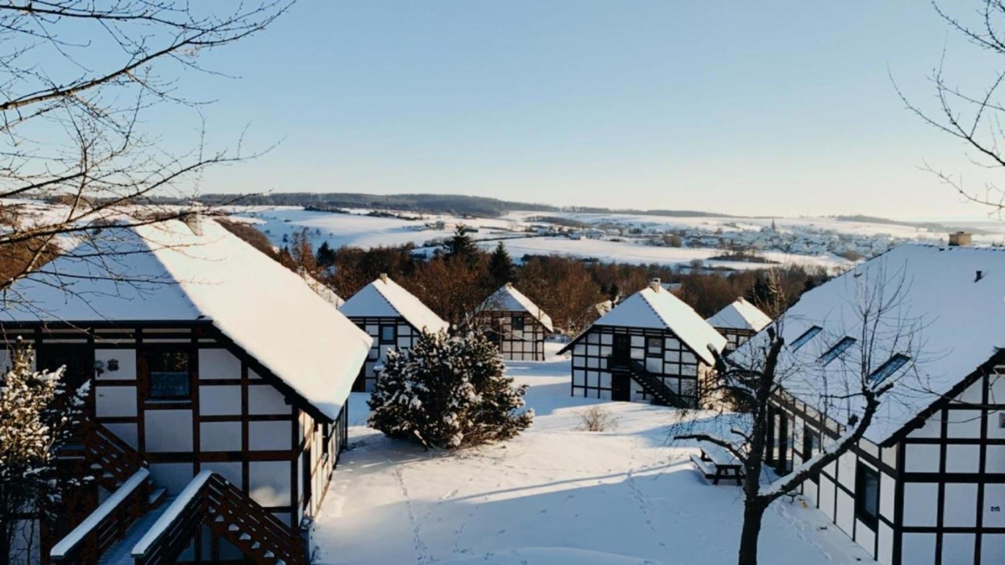Ferienwohnung Lix Direkt Am Waldrand Frankenau Exteriér fotografie