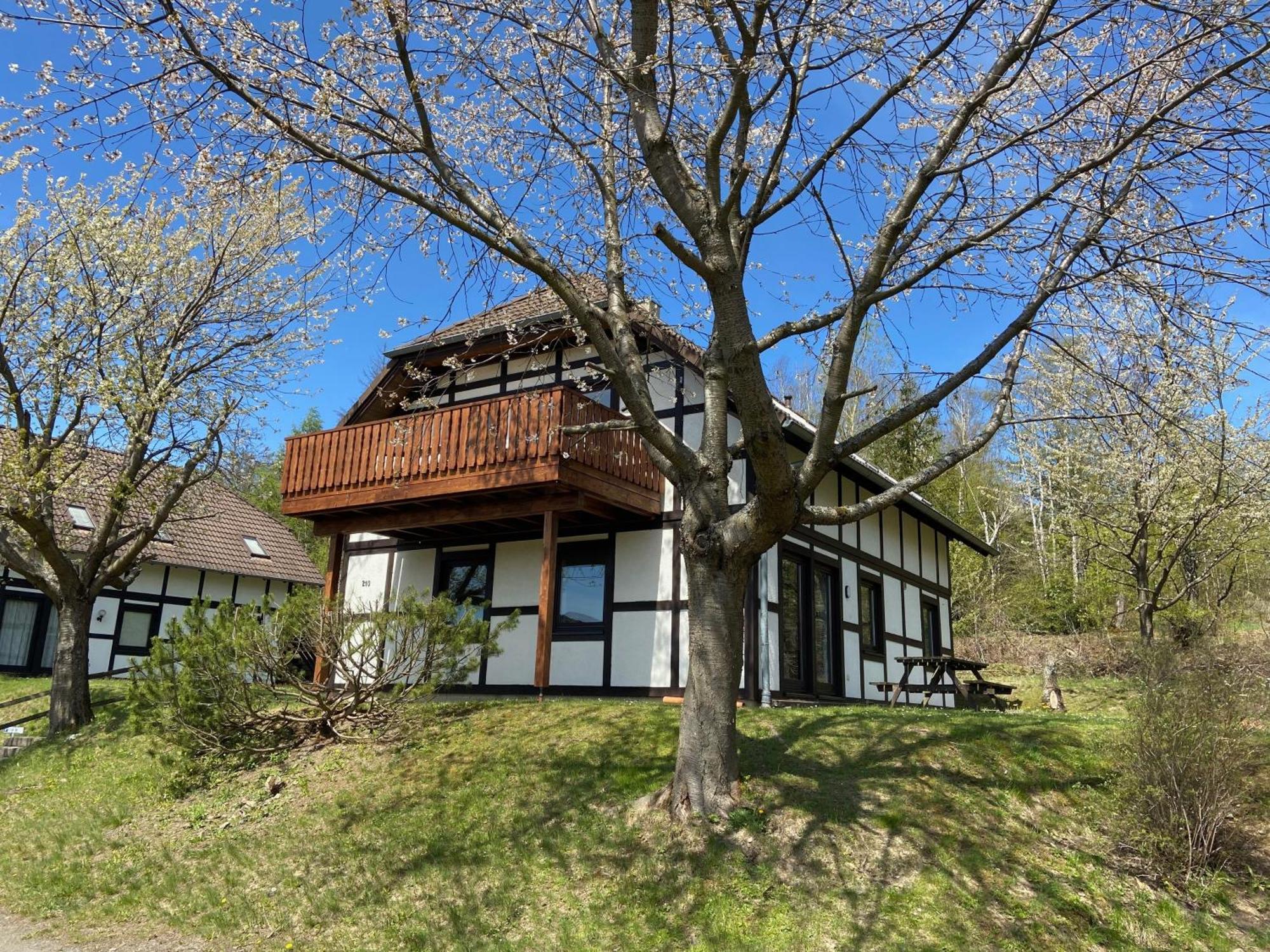 Ferienwohnung Lix Direkt Am Waldrand Frankenau Exteriér fotografie